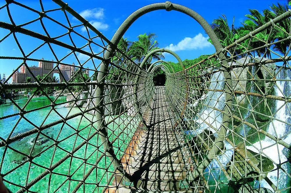 Отель The Cove At Atlantis Нассау Багамские острова