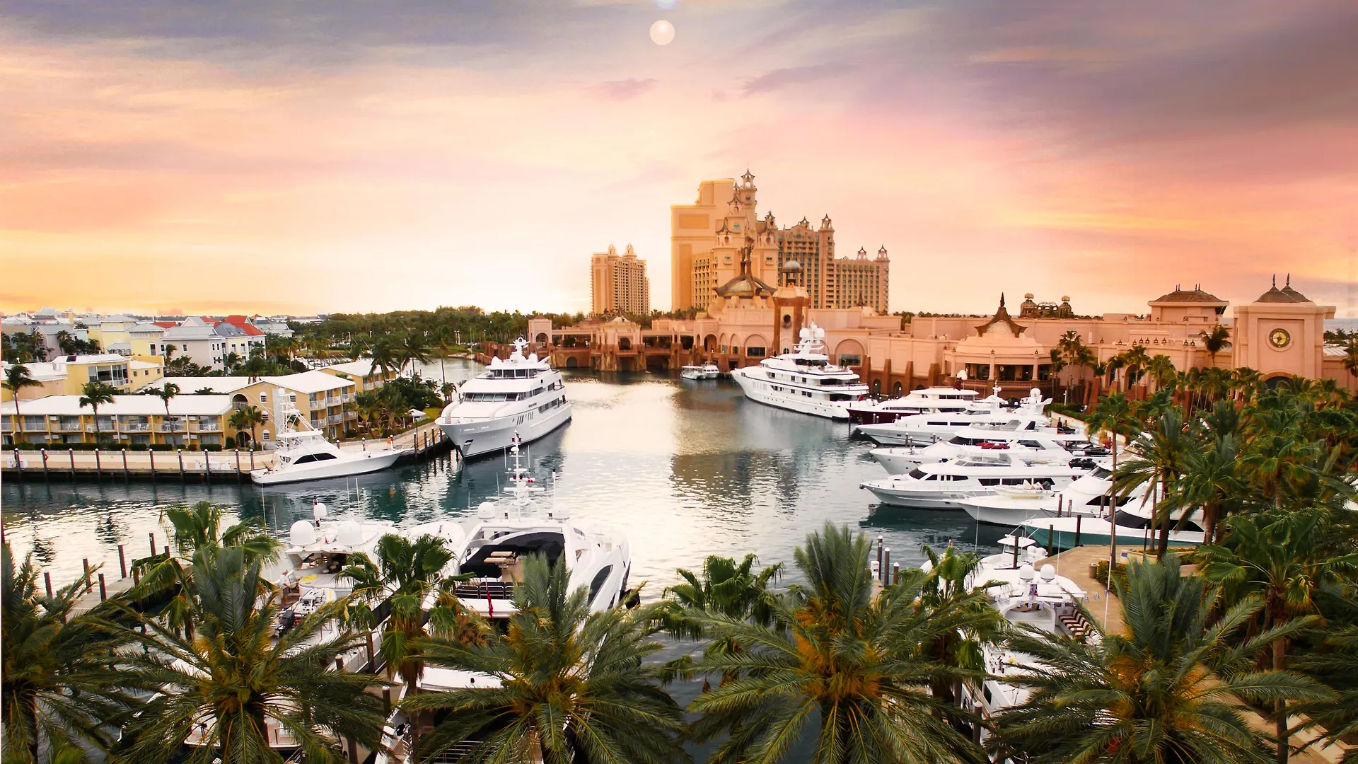 Отель The Cove At Atlantis Нассау Курортный комплекс